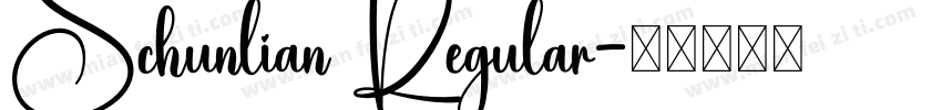 Schunlian Regular字体转换